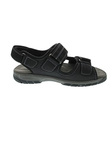 WALDLÄUFER Harald Sandale Schwarz