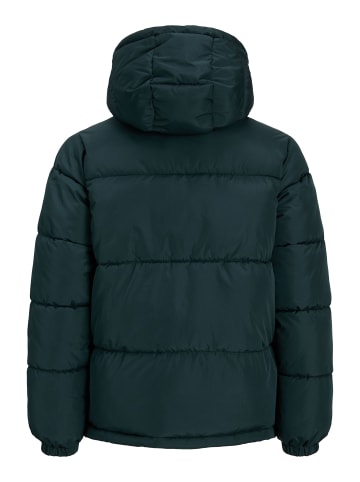 JACK & JONES Junior Steppjacke in Magical Forest