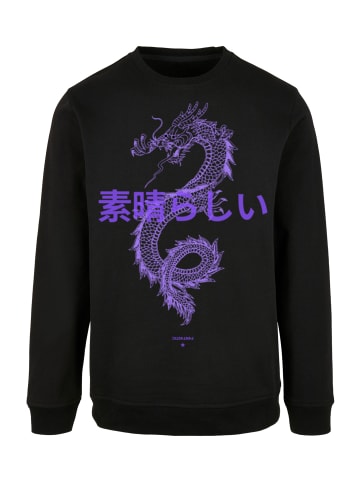 F4NT4STIC Sweatshirt Drache Lila in schwarz