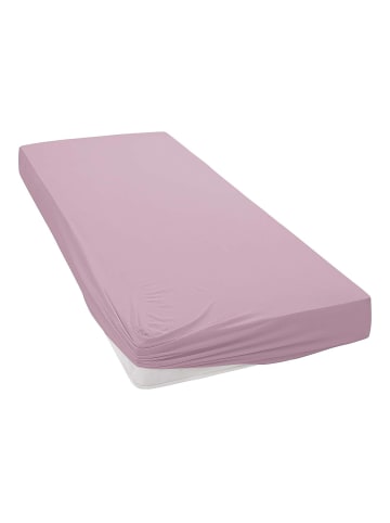 Janine Spannbettlaken Jersey Elastic in holunder