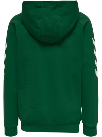 Hummel Hummel Cotton Kapuzenpullover Hmlgo Multisport Kinder in EVERGREEN