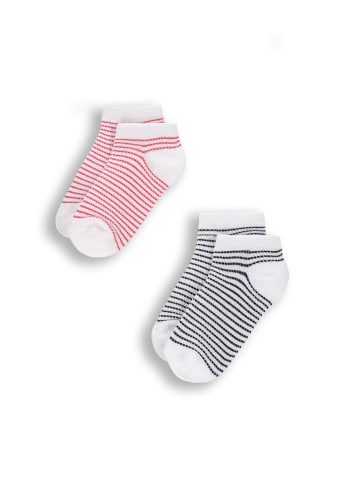 Coccodrillo Socken in bunt