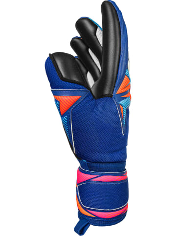 Reusch Torwarthandschuhe Attrakt Infinity Evo NC in 4127 sharp blu/shock orng/blck