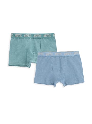 Coccodrillo Slip für Jungen in bunt