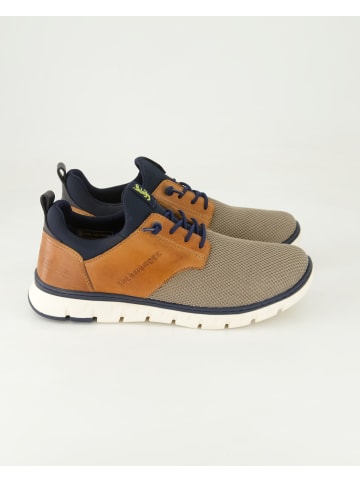 SALAMANDER Klassische Schnürschuhe in Beige