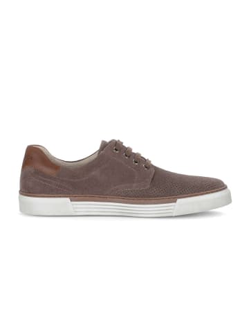 Gabor Sneaker low in grau