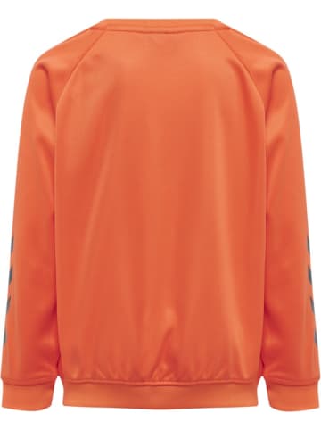 Hummel Kinder Sweatshirt "Hmlpromo" in Orange