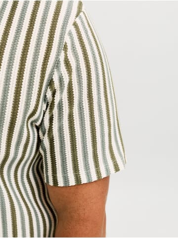 JACK & JONES PLUS Poloshirt in Sea Pearl