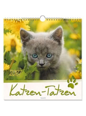 Kawohl Kalender - Katzen-Tatzen 2027