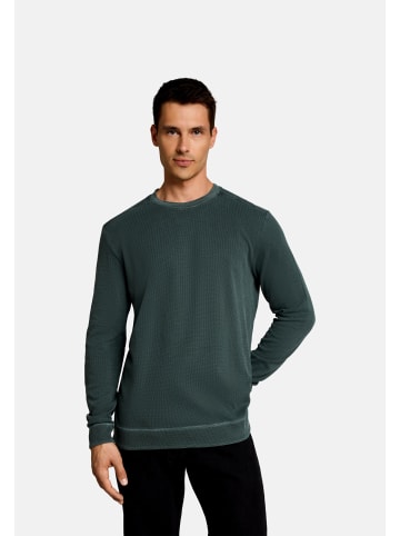 Tom Tailor Shirt in dunkelgrün