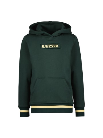 RAIZZED® Raizzed® Pullover Westend in Boston green