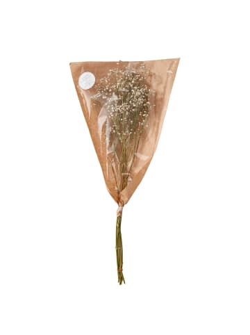 Butlers Trockenblume FLOWER MARKET Schleierkraut in Weiß