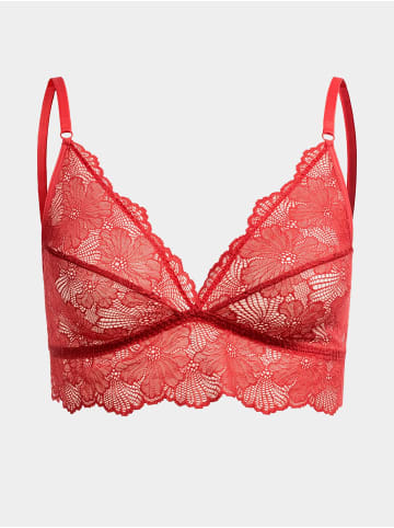 Erlich Textil  CLASSY LACE TRIANGEL-BH in granatapfel