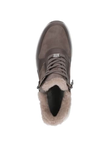 Caprice Sneaker in TAUPE COMB