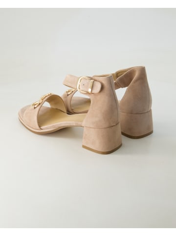 Terry Sandaletten in Beige