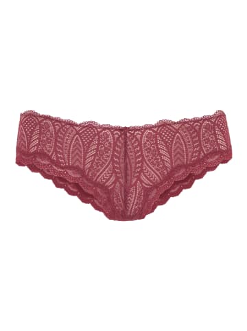 LASCANA Panty in marsala-puder