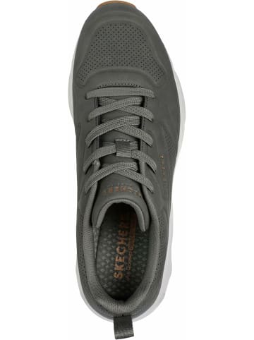 Skechers Sneaker in grün