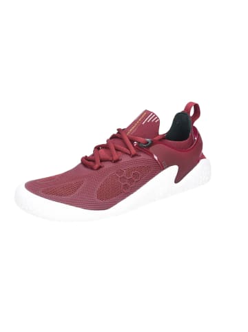 VIVOBAREFOOT Schnürschuh in bordeaux