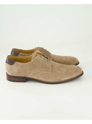 DIGEL Anzug- & Businessschuhe in Beige