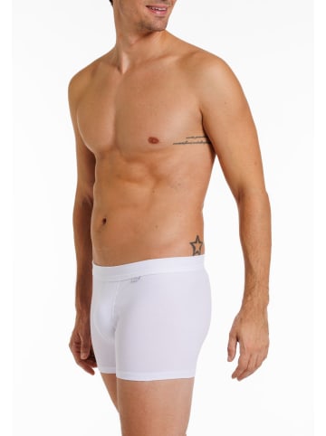 Haasis Bodywear 2er-Set: Pants in weiß