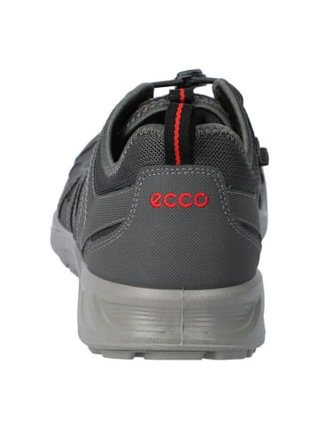 Ecco Lowtop-Sneaker Terracruise Lt M in dark shadow