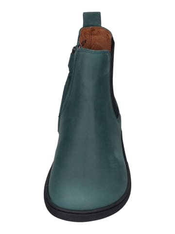 KOEL Chelsea Boots FILAS HYDRO  in türkis