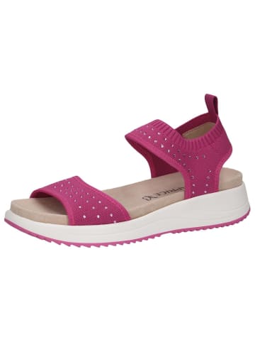 Caprice Sandale in PINK KNIT