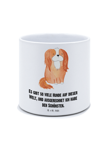 Mr. & Mrs. Panda XL Blumentopf Hund Cavalier King Charles Spanie... in Weiß