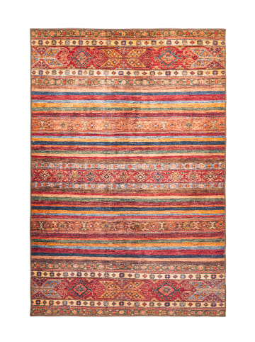 Kayoom Teppich Aigneis in Multi / Rot