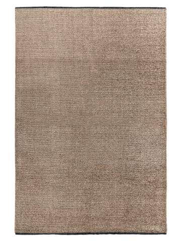 Vivorum Vivorum Wohnzimmer Kurzflor Teppich Trendy Touch 425 taupe in taupe