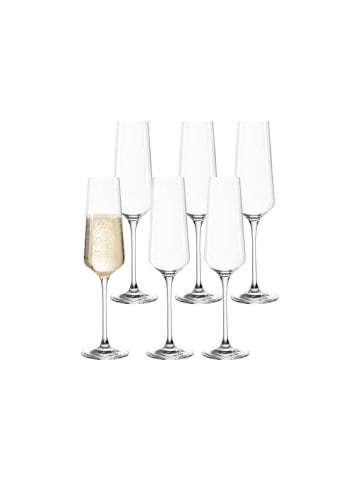 LEONARDO 6er Set Sektgläser Puccini in Transparent 280 ml in transparent