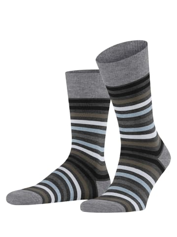 Falke Socken Tinted Stripe in Asphalt me