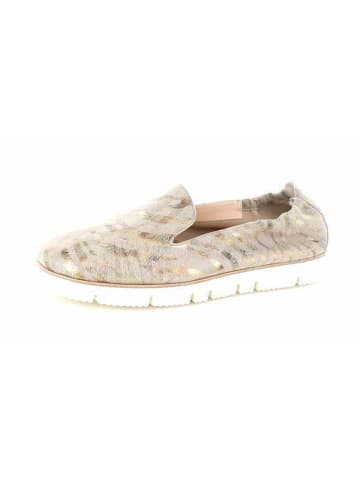 Kennel & Schmenger Slipper in beige