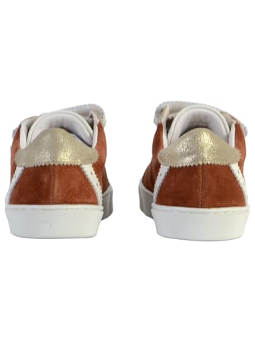 Les Tropéziennes par M Belarbi Suzak-Sneaker aus Leder Braun