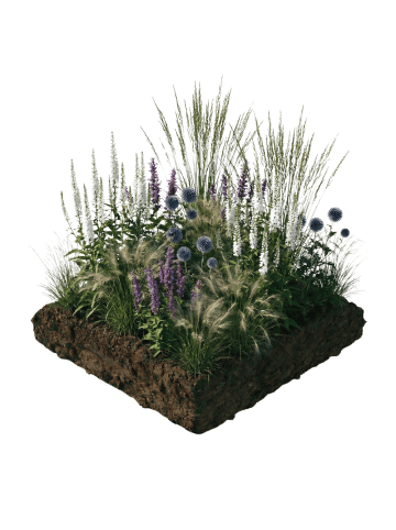 NatureNest 10er: Set Beetpaket Isa Pflanzen m2 in Multicolour