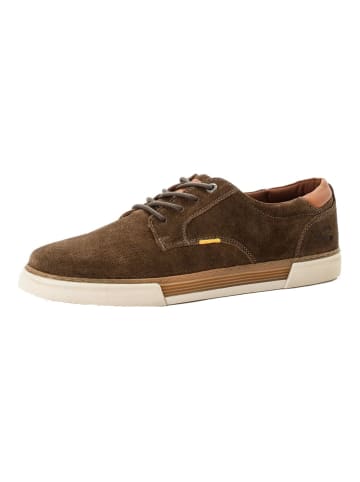 Camel Active Sneaker in Khaki