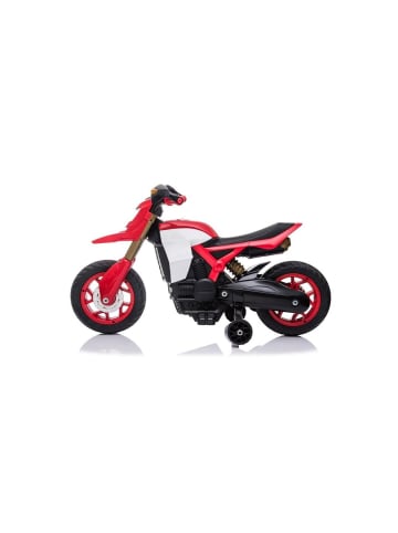 Wisam® Motorrad TR1909