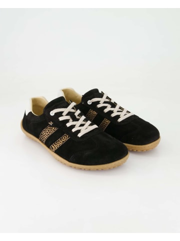 KOEL Sneaker low in Schwarz