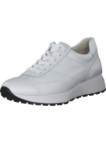 Paul Green Sneakers Low in white