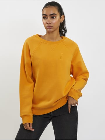 Freshlions Sweater in orange