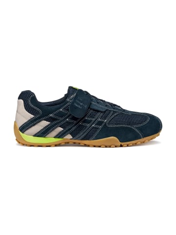 Geox Sportliche Schnürschuhe in Blau