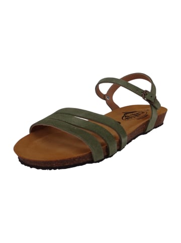 Plakton Sandalen grün