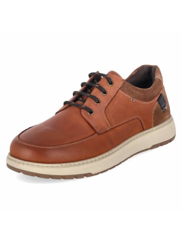 Halbschuhe CLAYTON 01 in braun
