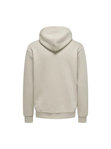 Only&Sons Sweatshirt in hellgrau2
