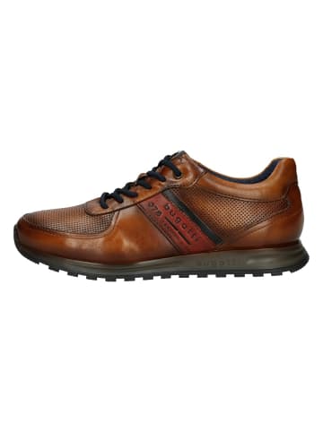 Bugatti Sneaker in cognac