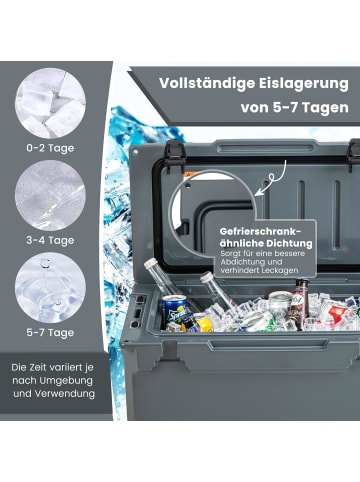 COSTWAY 28L Isolierbox in Anthrazit