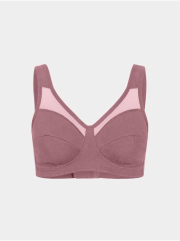 Erlich Textil  Soft-BH ANNI in mauve