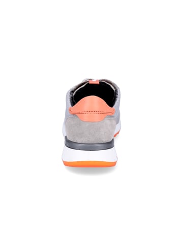 ara Sneaker in grau