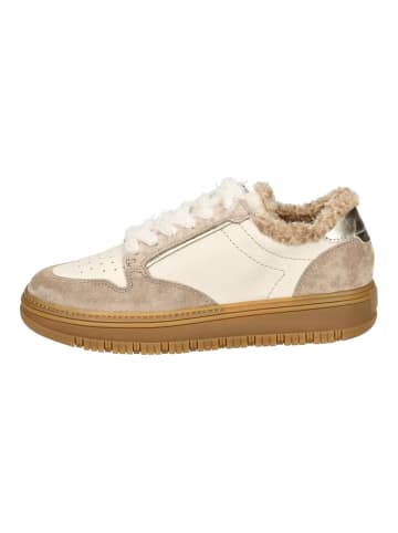 Paul Green Sneaker in Braun/Beige