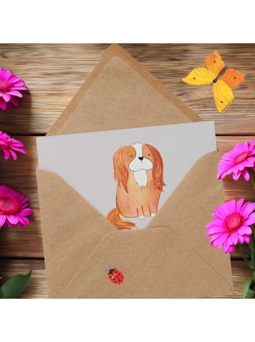 Mr. & Mrs. Panda Deluxe Karte Cavalier King Charles Spaniel Begl... in Grau Pastell